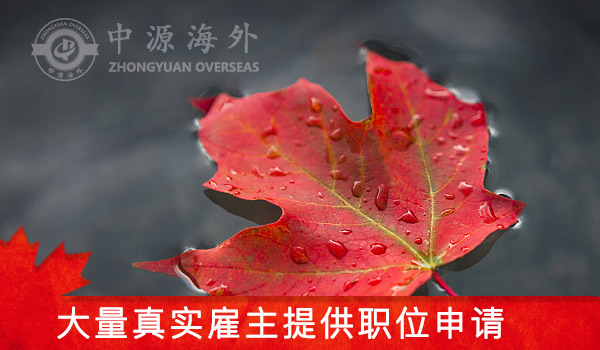 1599788366841592.jpg 雇主 (2).jpg