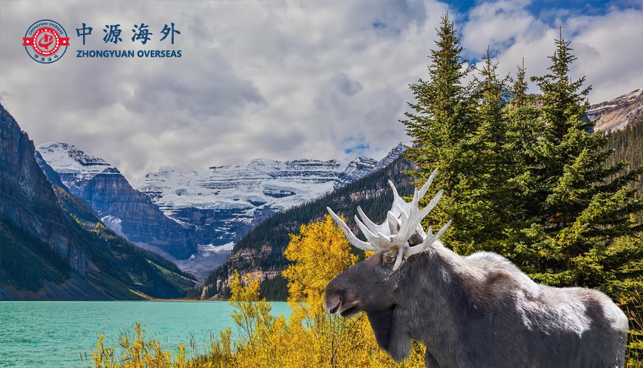 1601259924976279.jpg 新4.jpg