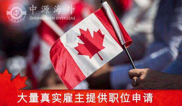 雇主.jpg