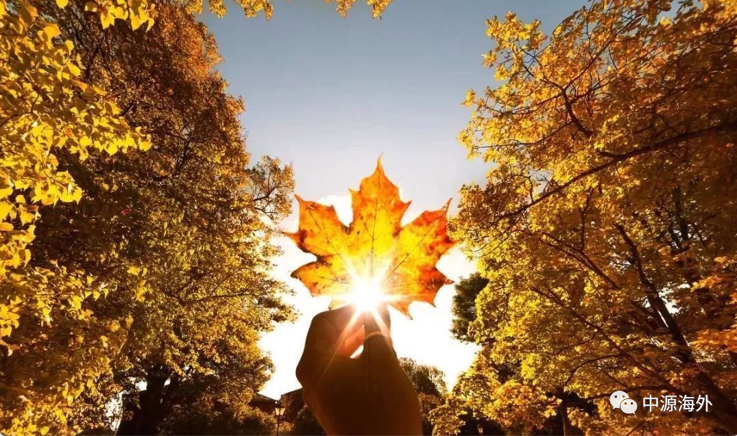 1684735542312438.png 微信图片_20230522140353.png