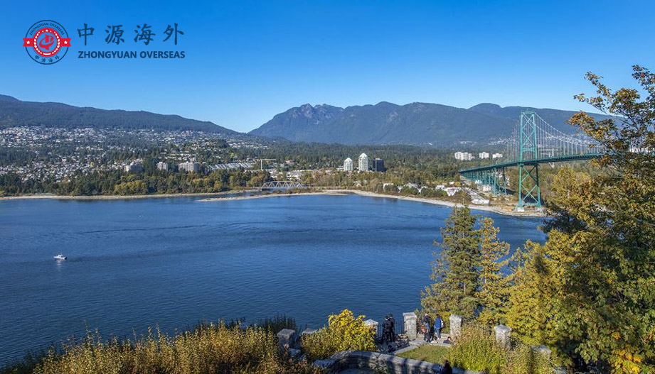 1577066048104973.jpg 新3.jpg