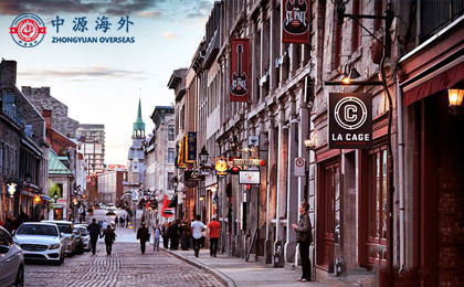 1577410450352771.jpg 1.1.jpg