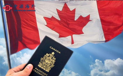 1581990982402274.jpg 3.3.jpg